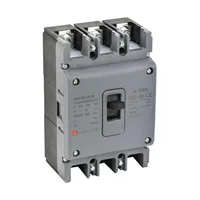 KOMPAKT ŞALTER 160 AMPER 1